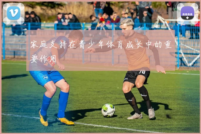 家庭支持在青少年体育成长中的重要作用