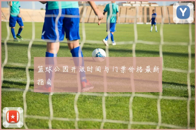 篮球公园开放时间与门票价格最新指南