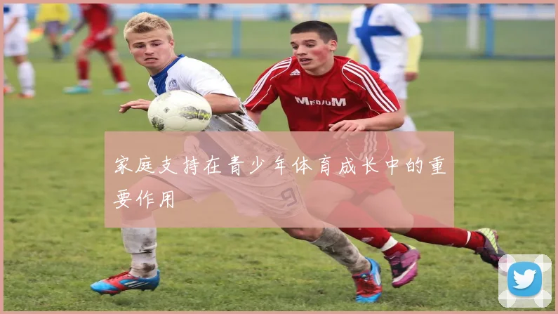 家庭支持在青少年体育成长中的重要作用