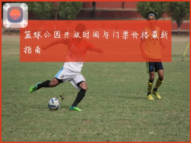 篮球公园开放时间与门票价格最新指南